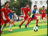 富勒姆VS阿斯顿维拉直播英超比赛前瞻：富勒姆vs阿斯顿维拉预测分析(2026年04月25日)