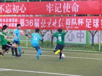 布雷斯特VS斯特拉斯堡直播【法甲】布雷斯特vs斯特拉斯堡比赛结果：布雷斯特(3-1)斯特拉斯堡比分战报(2024年12月01日)